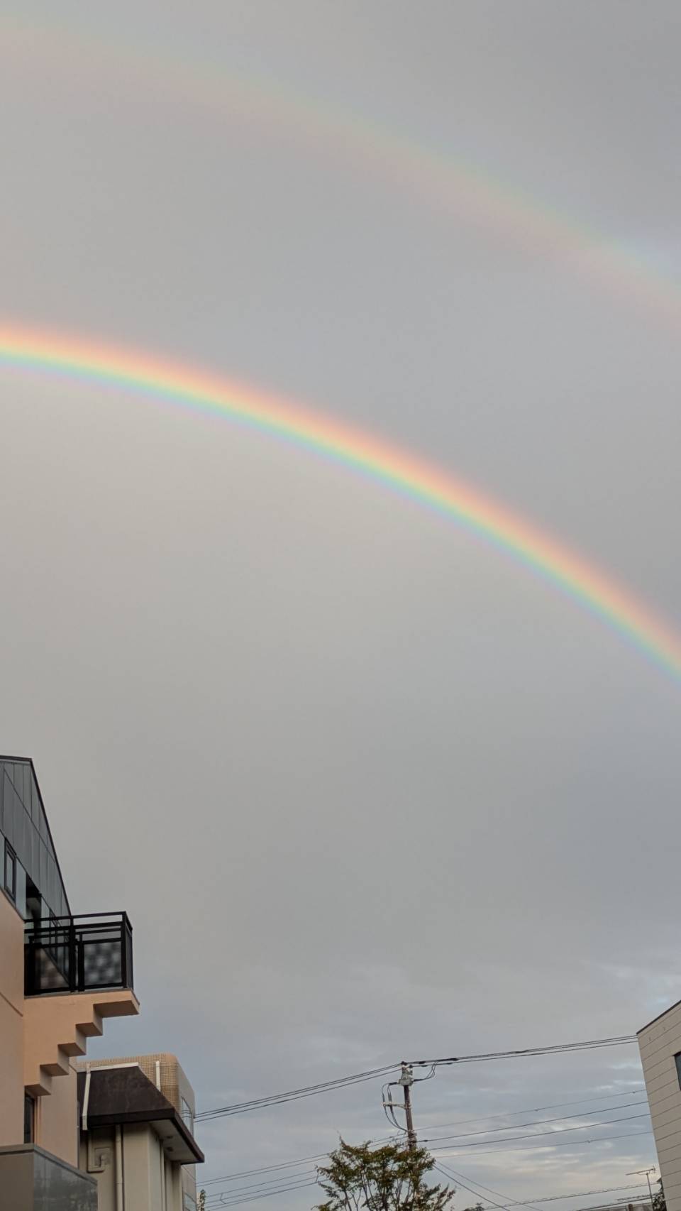 喉のケアについて