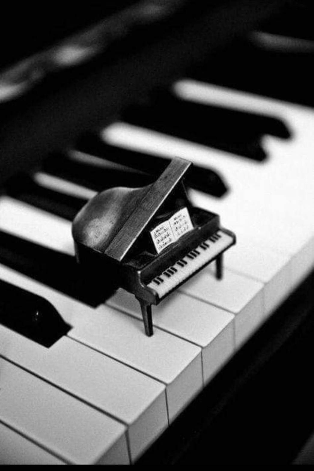 🎤 魂の歌声で人生を彩る