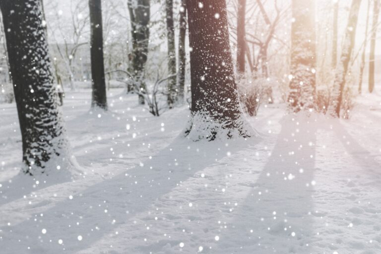 ❄️寒い日でもスッと動ける体を！ダンスレッスン前に準備したいこと☃️①