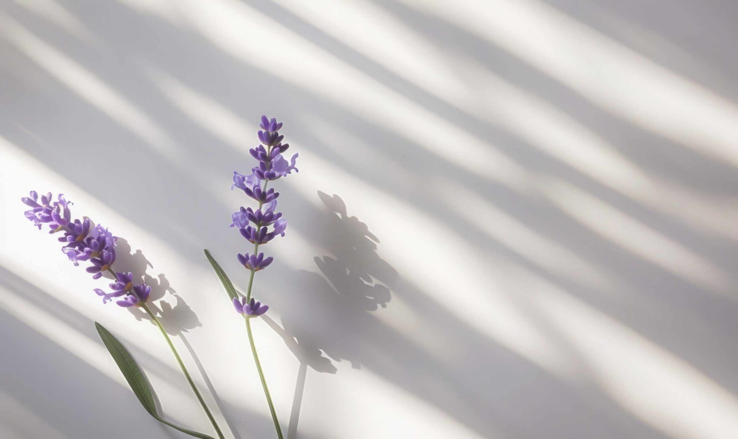 緊張に負けない！ステージ直前のおすすめルーティーン4選😮‍💨②