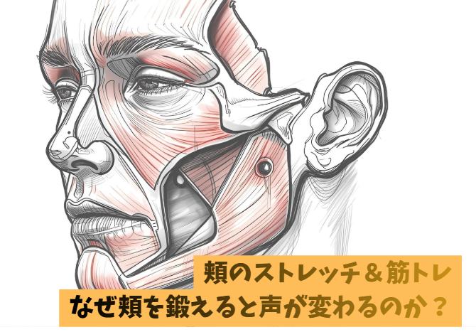 【動画】声が変わる！ボイトレ講師宮西先生が教える頬のストレッチ＆筋トレ