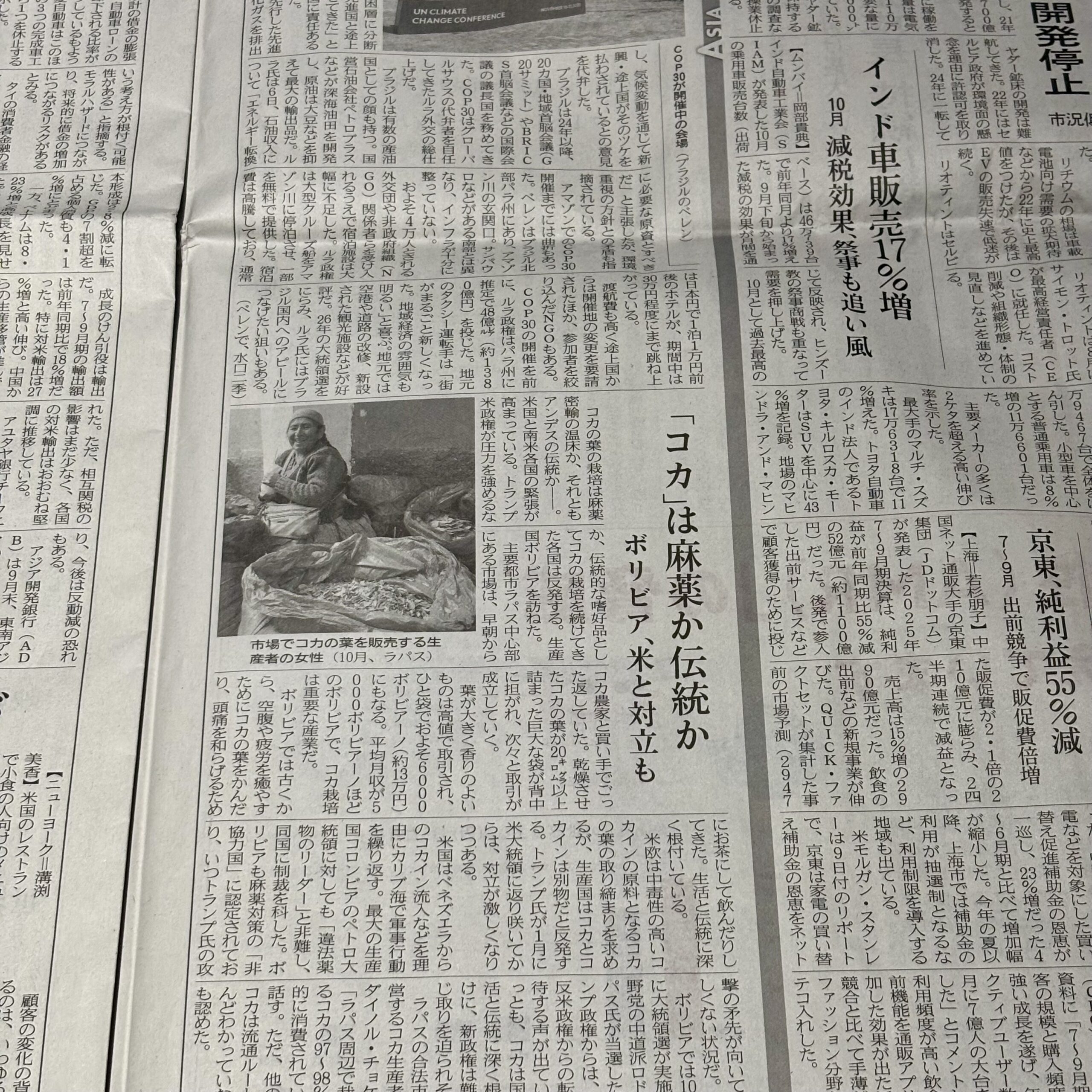 コカの葉の栽培は麻薬密輸の温床か、それともアンデスの伝統か【埼玉のマンツーマンダンススクール・ナユタス川口校】