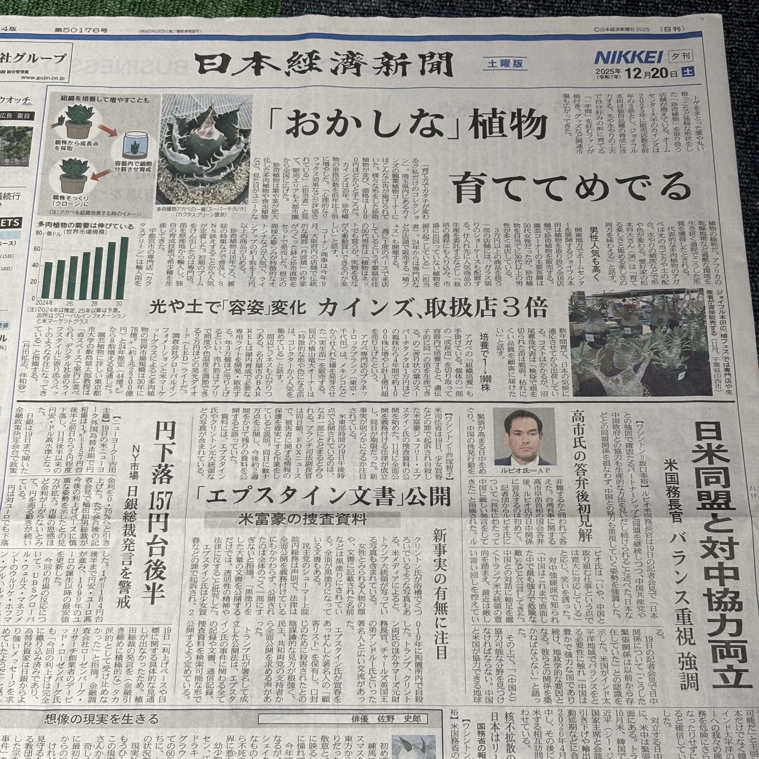 珍奇植物【埼玉のボイストレーニングスクール・ナユタス川口校】