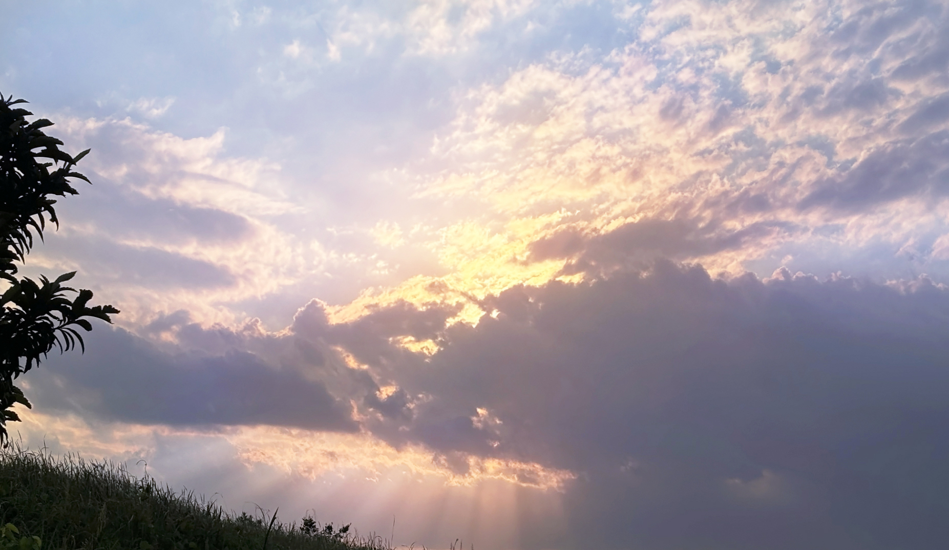 【NAYUTAS 浜田山校】AKASAKI「連れてって」歌詞考察  ——ひとりじゃ生きられない夜に。 誰かの手を掴まないと崩れてしまいそうな心を描いた痛いほどのラブソング。