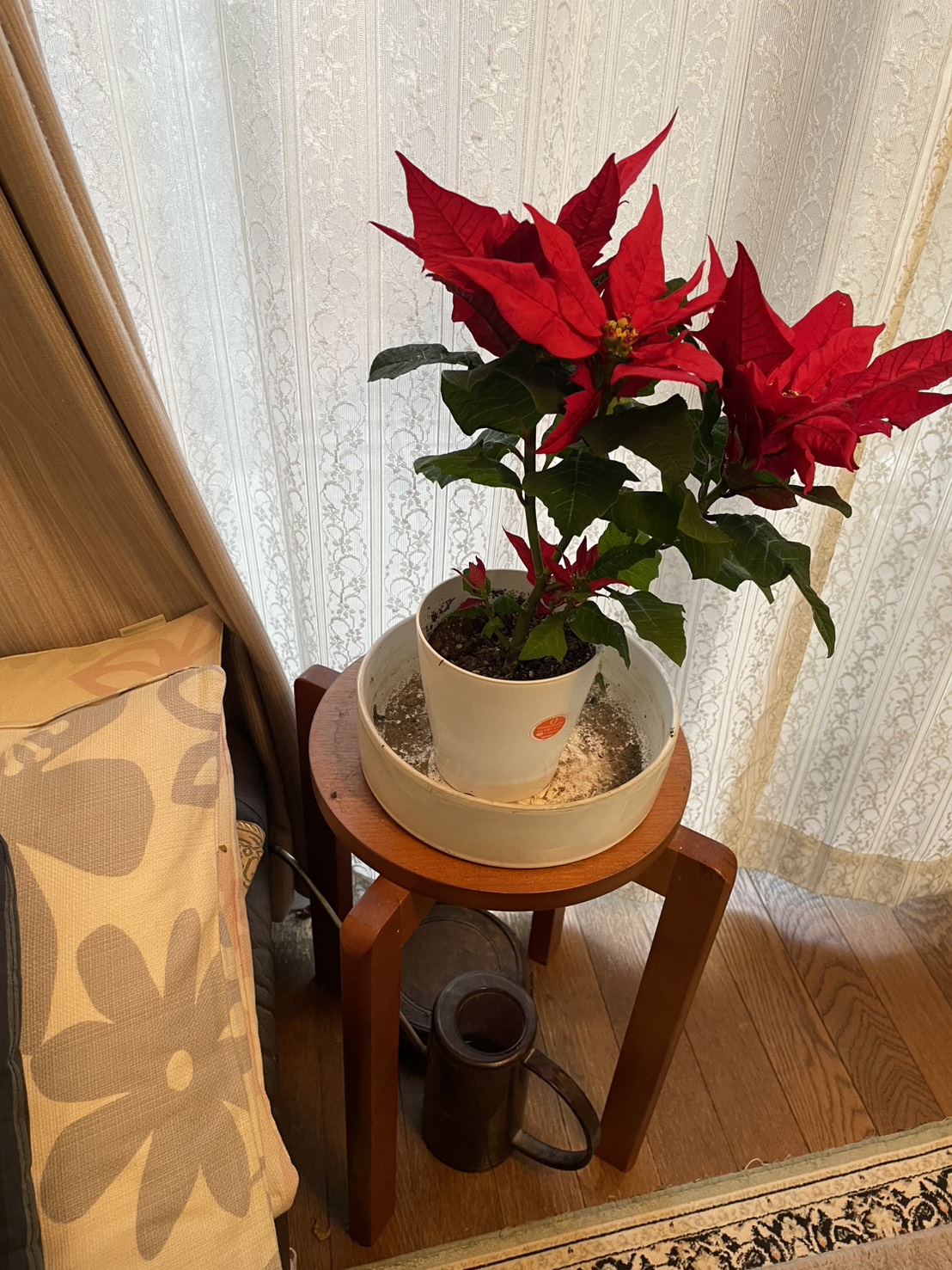 クリスマス🎄ですね。