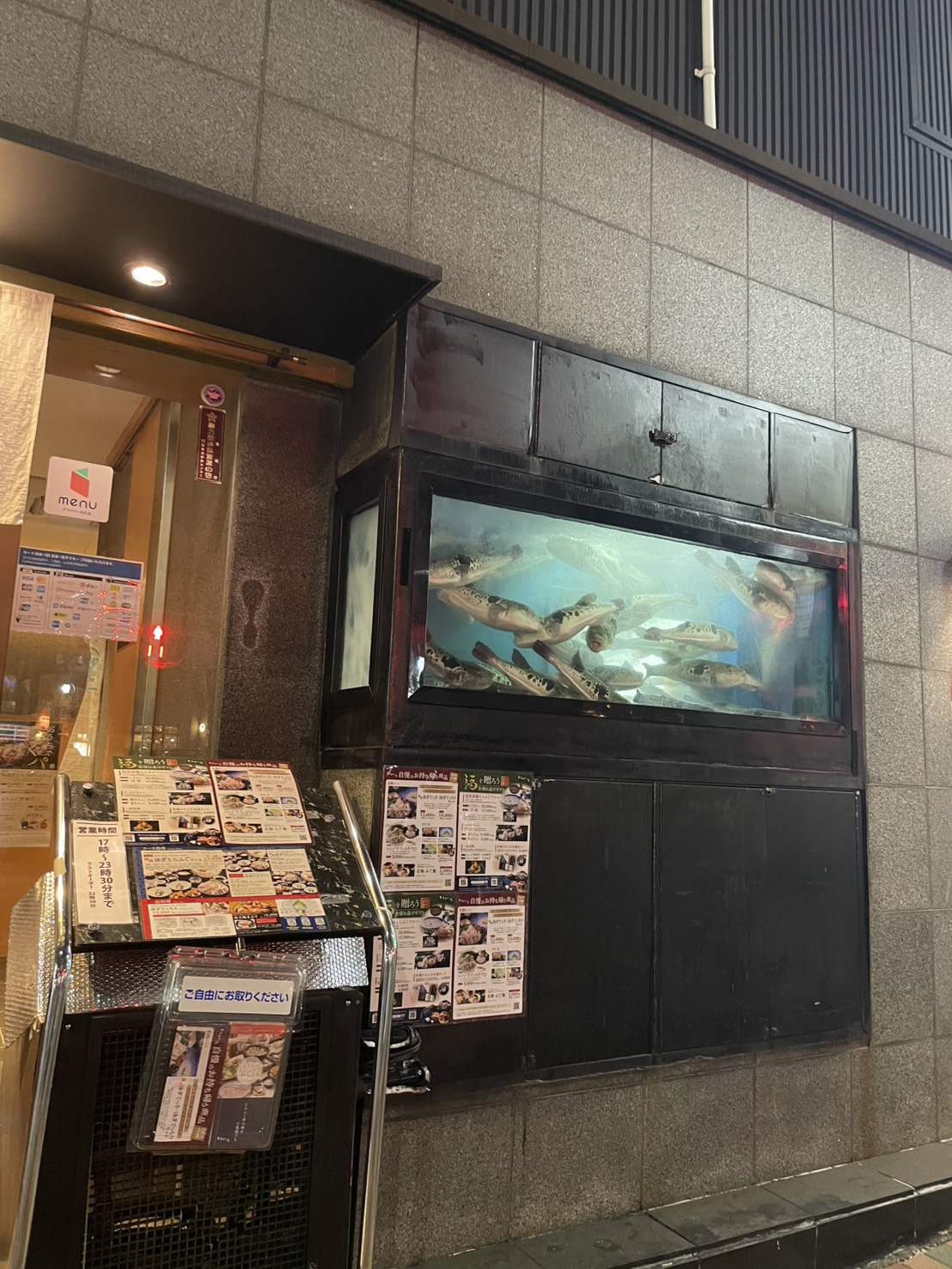 フグ🐡食べました