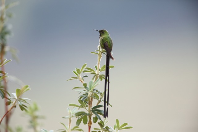 「Everything Must Change」　NAYUTAS水戸校(midori)