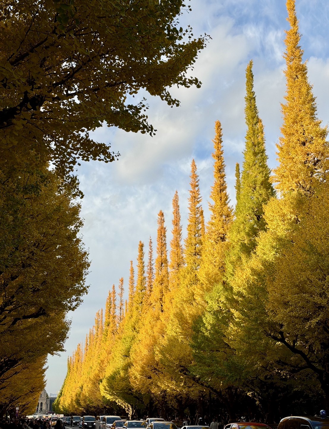 マンツーマンのダンスレッスンとは