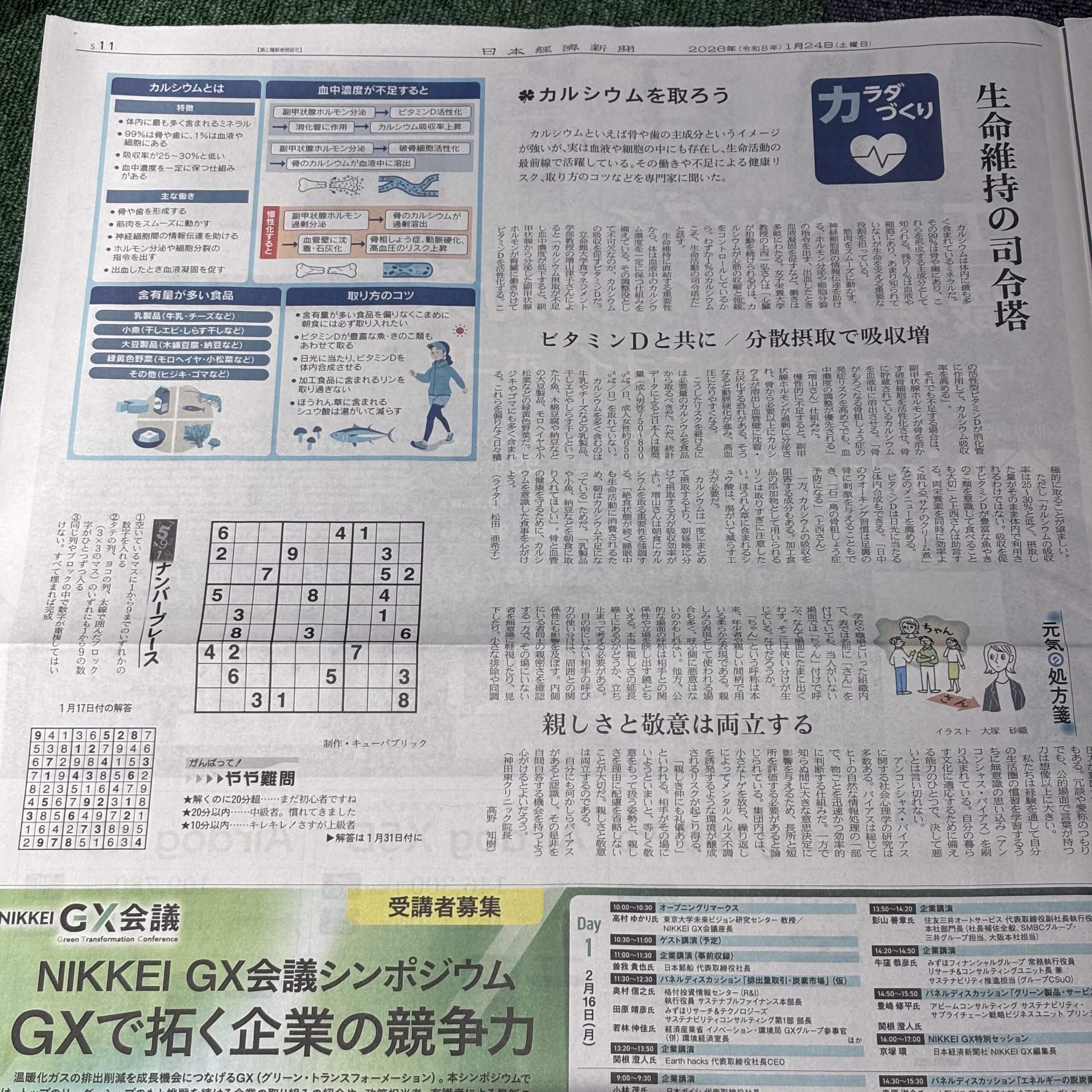 カルシウムは体内に最も多く含まれるミネラル【埼玉マンツーマンダンスならナユタス川口校】