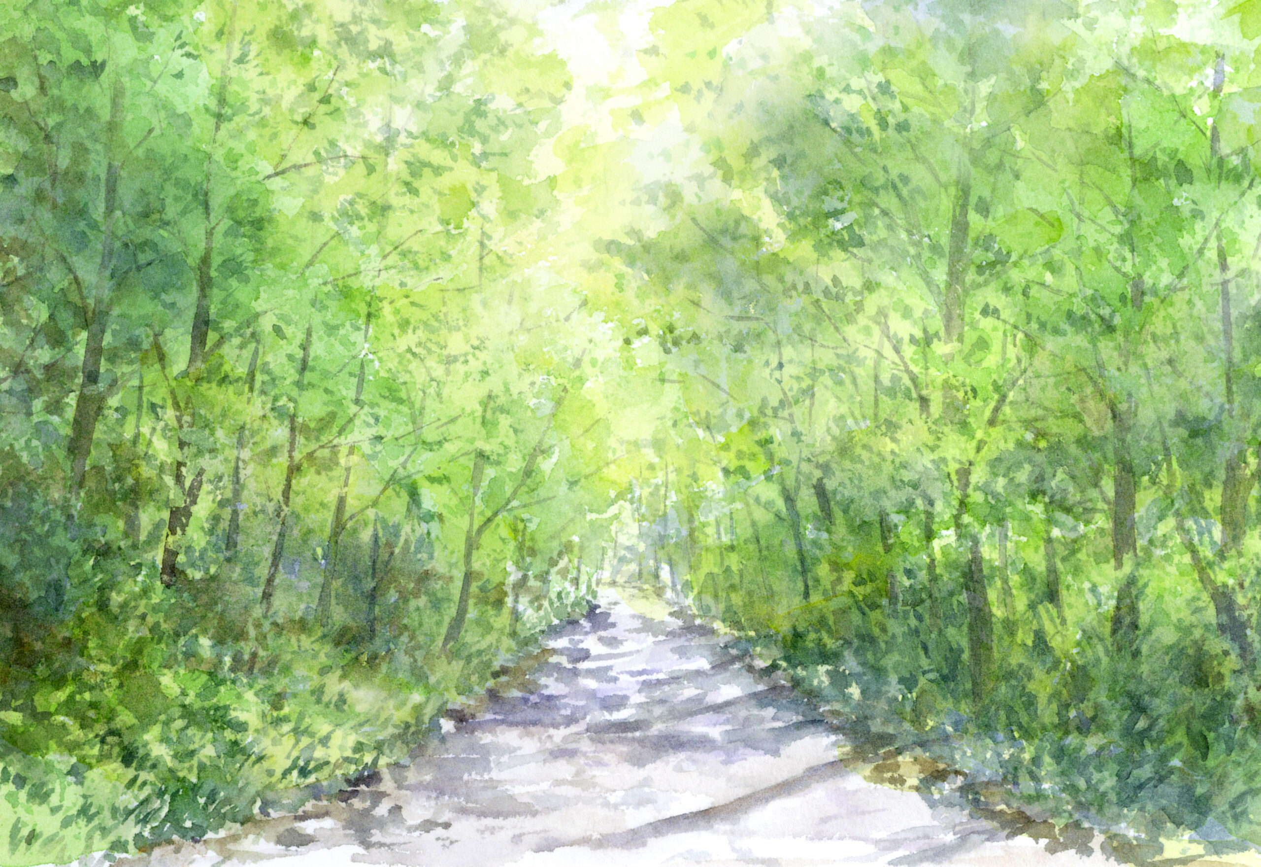 【NAYUTAS 浜田山校】back number「どうしてもどうしても」歌詞考察  ――諦めたはずなのに、心だけが置いていかれた恋の話