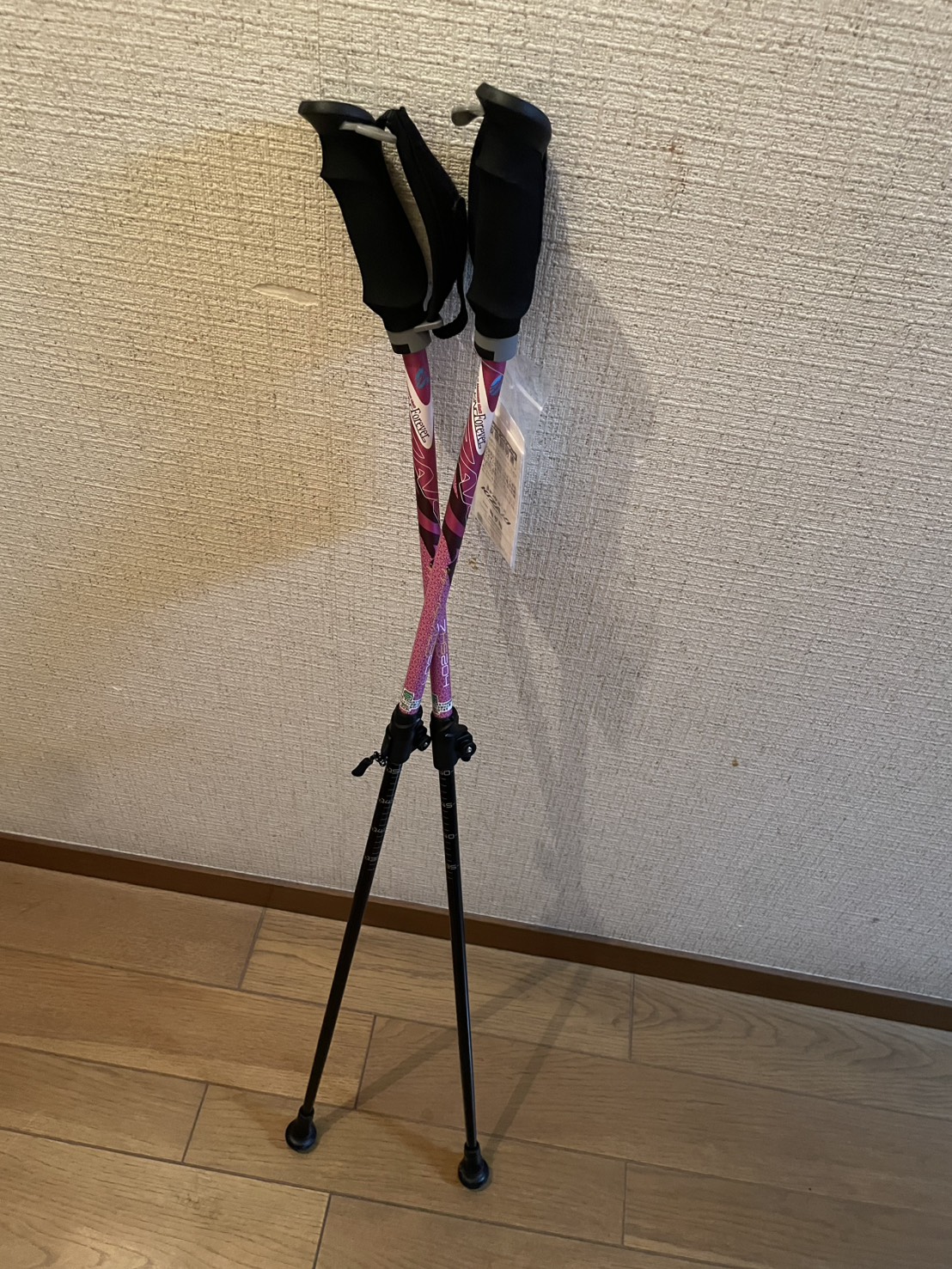 ノルディックウォーク