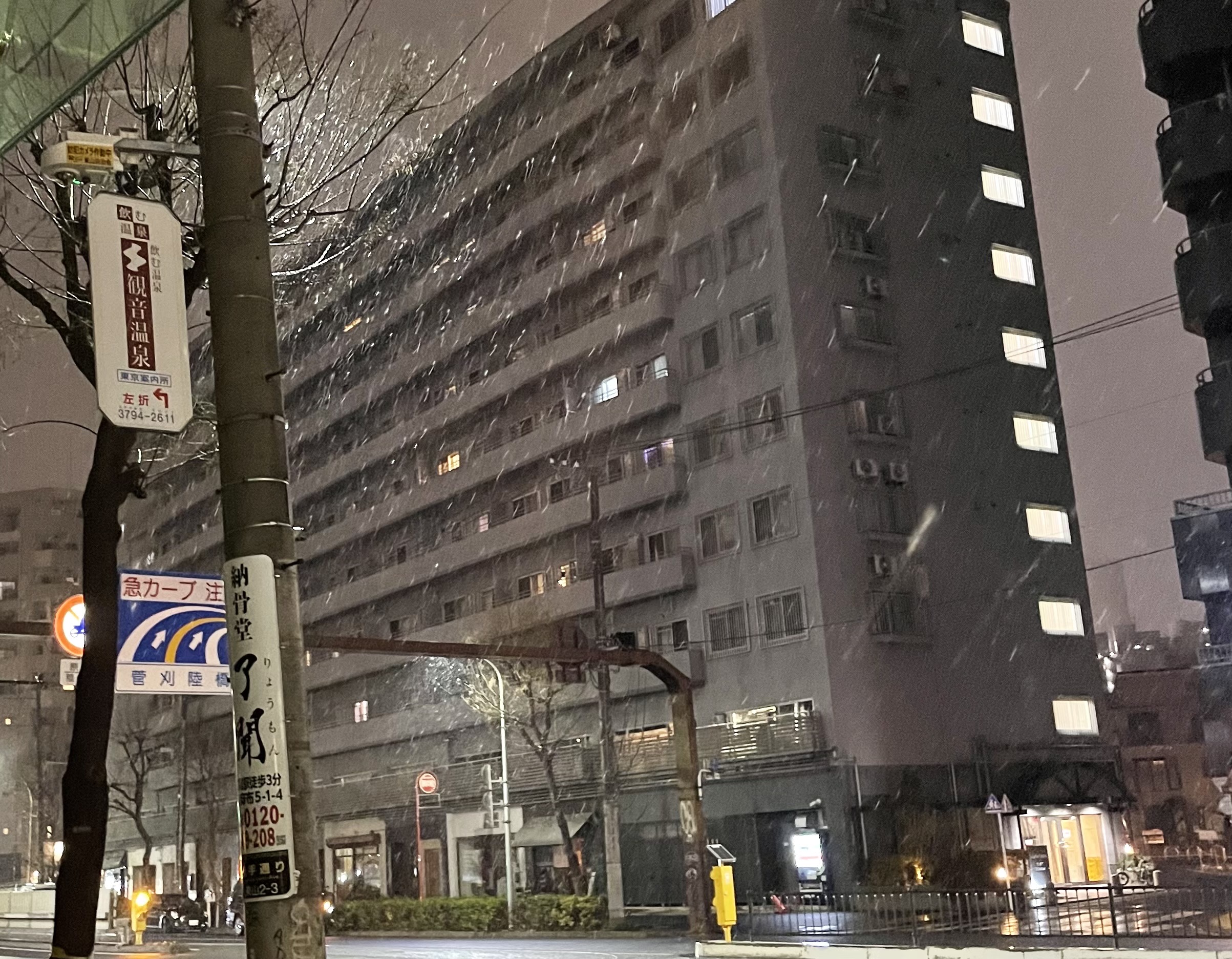 予報通り雪☃️❄️