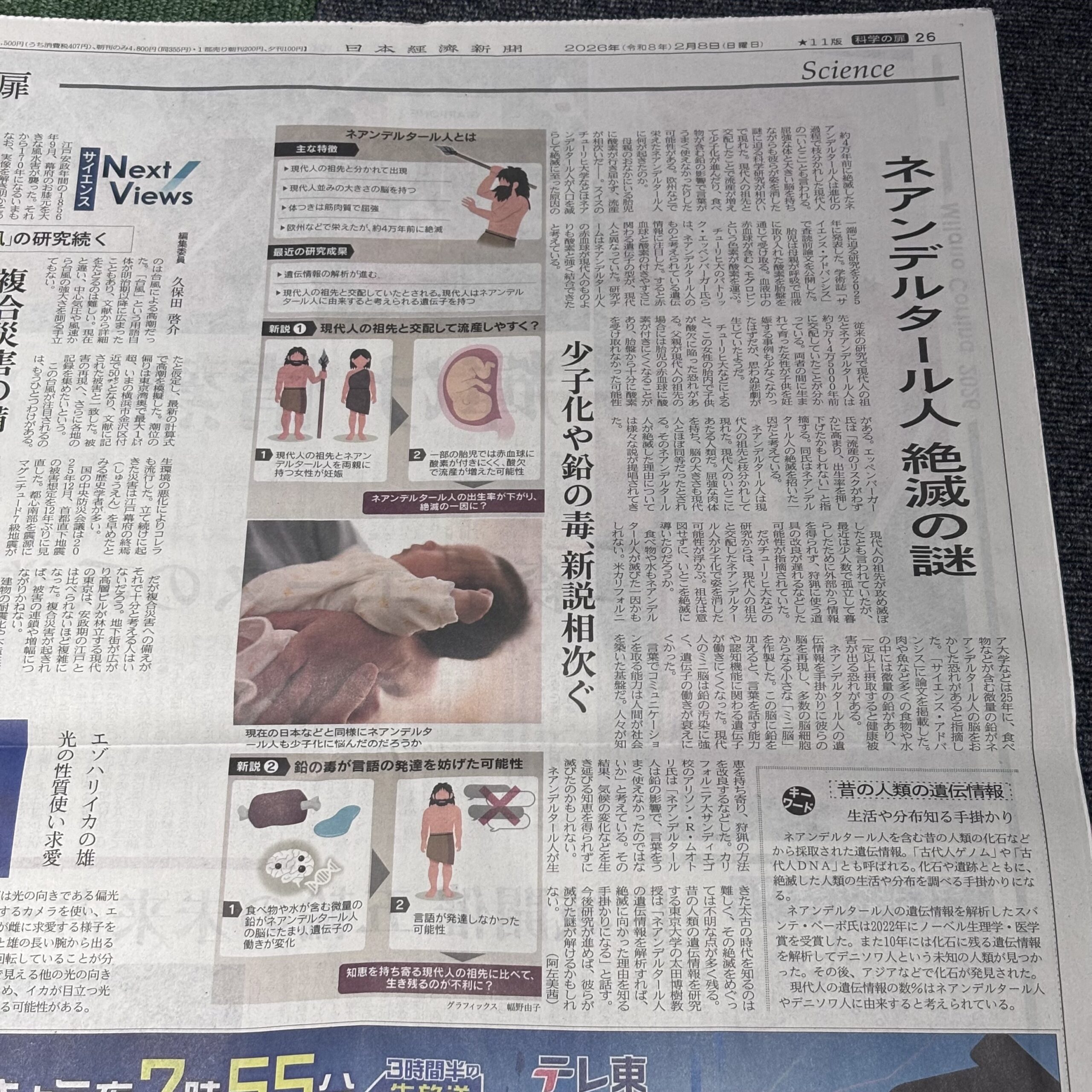 ネアンデルタール人 絶滅の謎【埼玉のボイストレーニングスクール・ナユタス川口校】