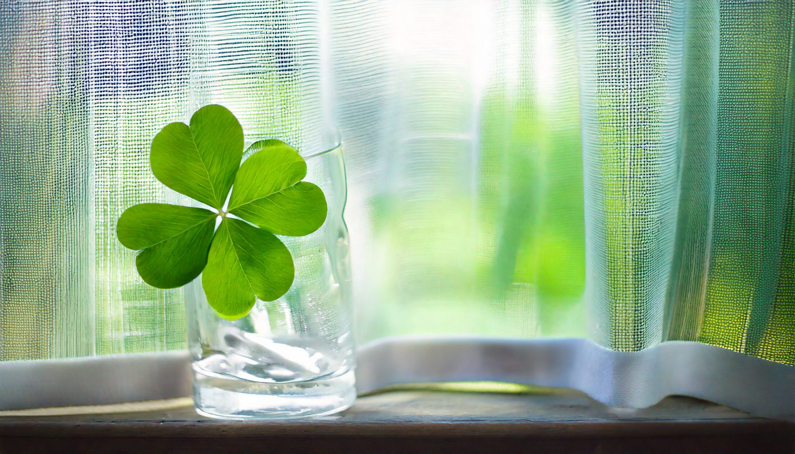 ✋自信が欲しい人集合！踊るときの自信を育てる「小さな習慣」とは？②