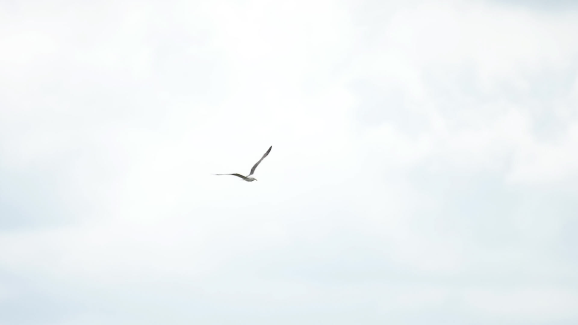 【NAYUTAS 浜田山校】「YELL」歌詞考察 — いきものがかりが描く、別れとエールの歌