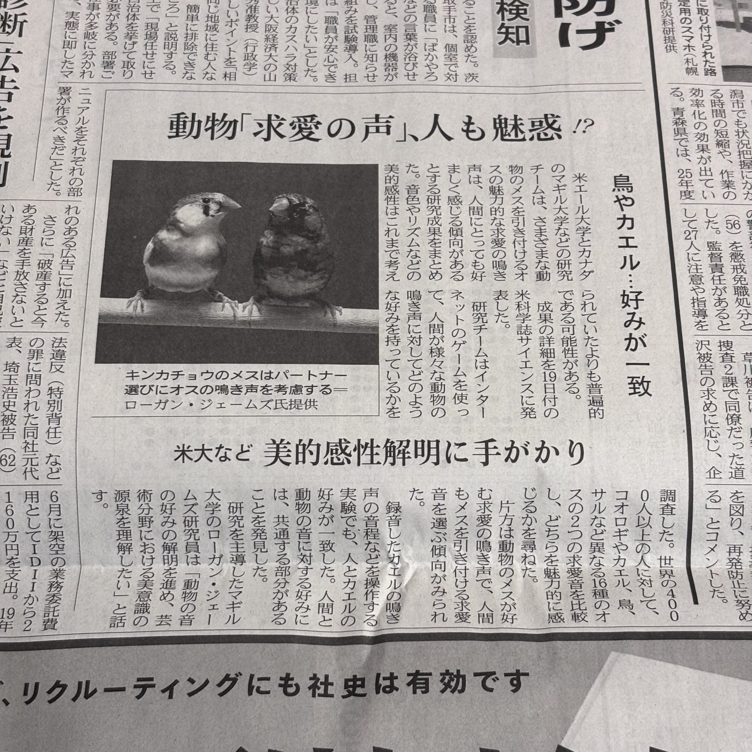 動物「求愛の声」人も魅惑【埼玉ボイトレならナユタス川口校】