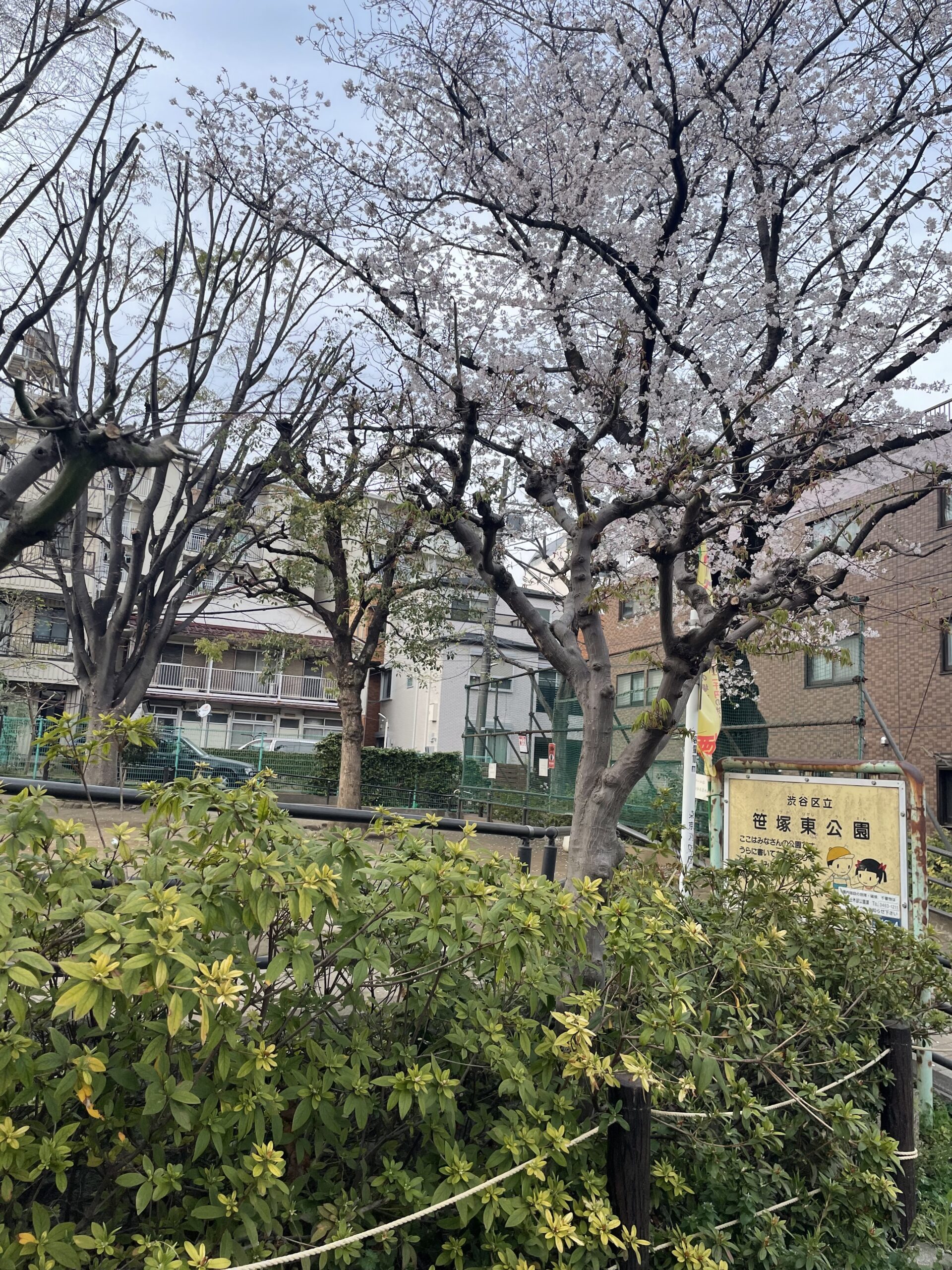 墓参りに行って来ました。