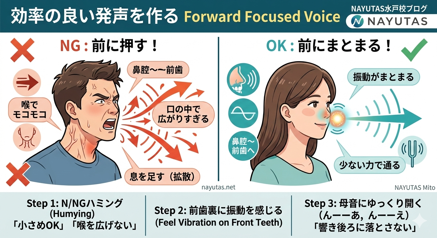 効率の良い発声を作るエクササイズ「Forward Focused Voice」 - NAYUTAS水戸校(助川)