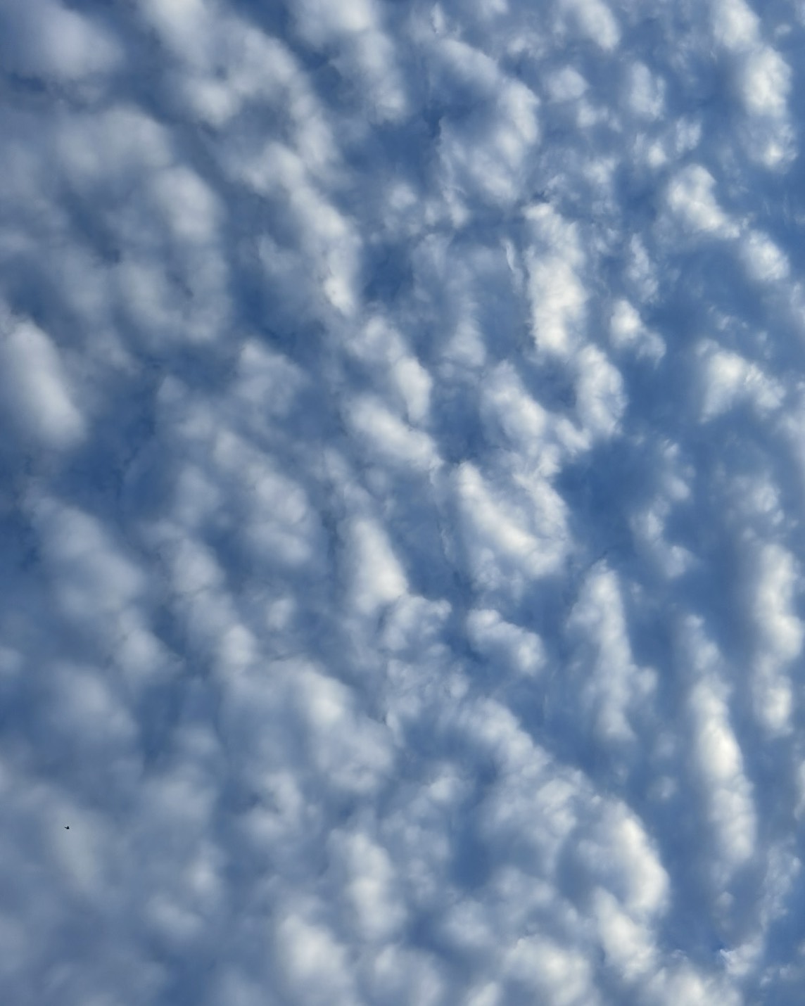 高音を楽に出すためのウォーミングアップ3つ