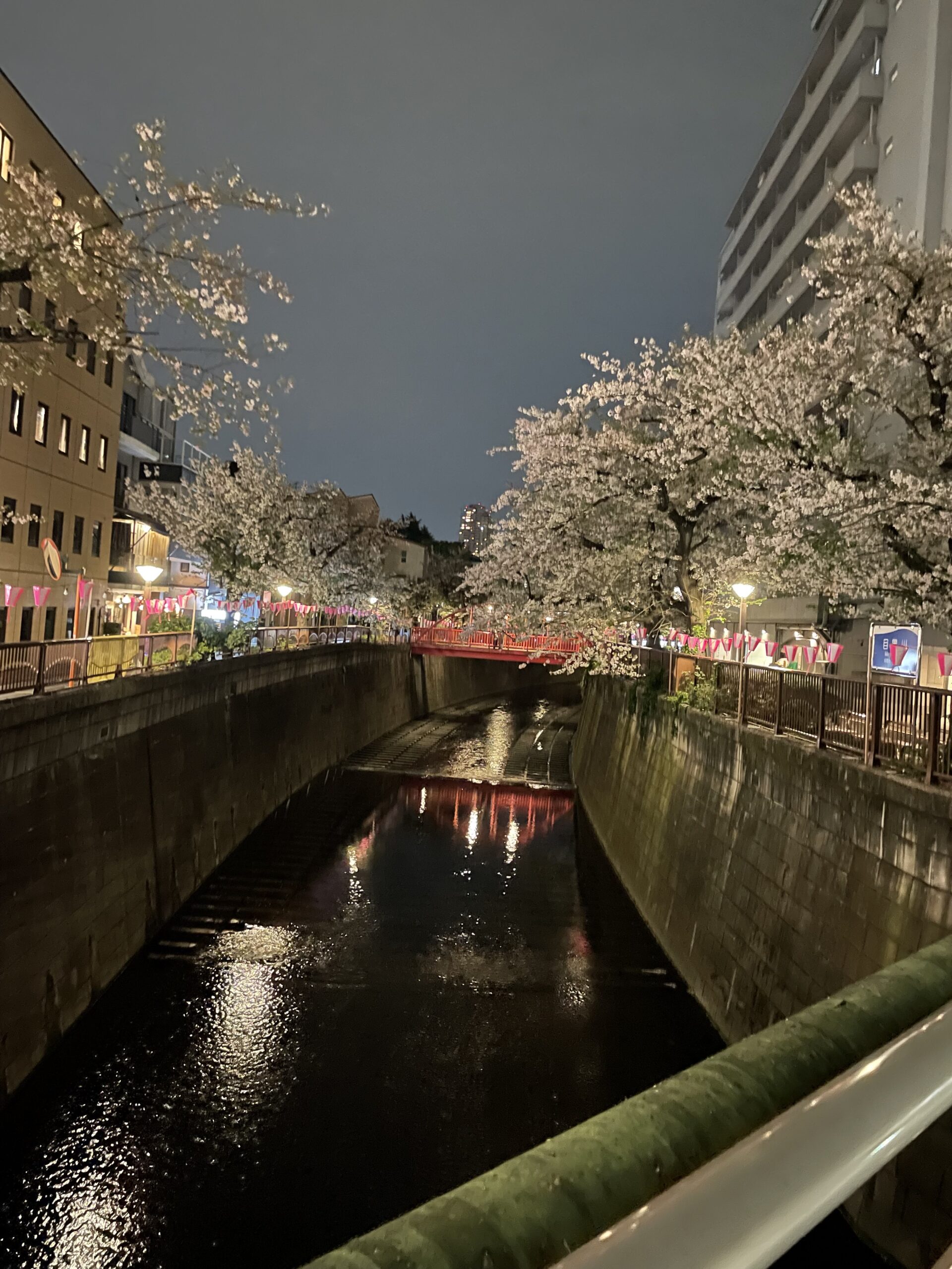 久しぶりにROCK☆ジェジュン見にきました。