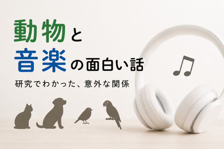 猫は音楽が好き？動物と音楽のちょっと面白い話🐈🎵