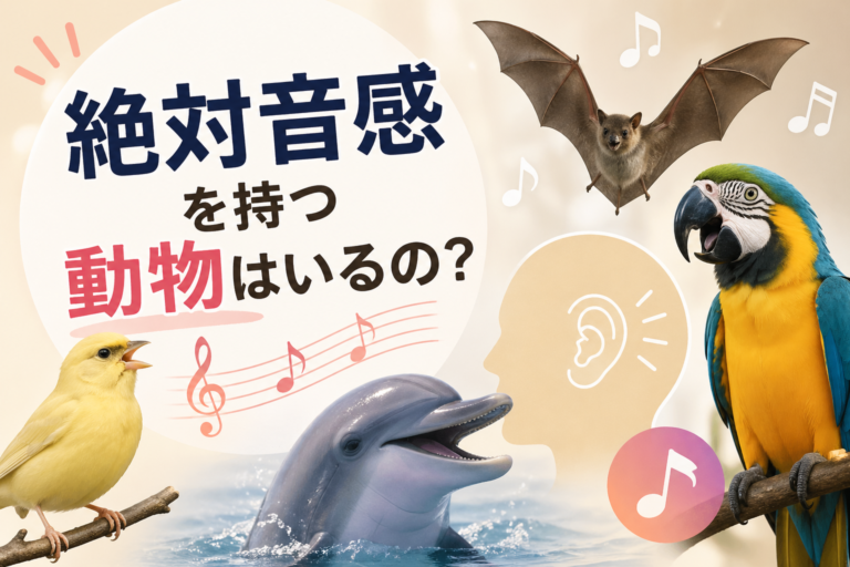 絶対音感を持つ動物はいるの？🎼