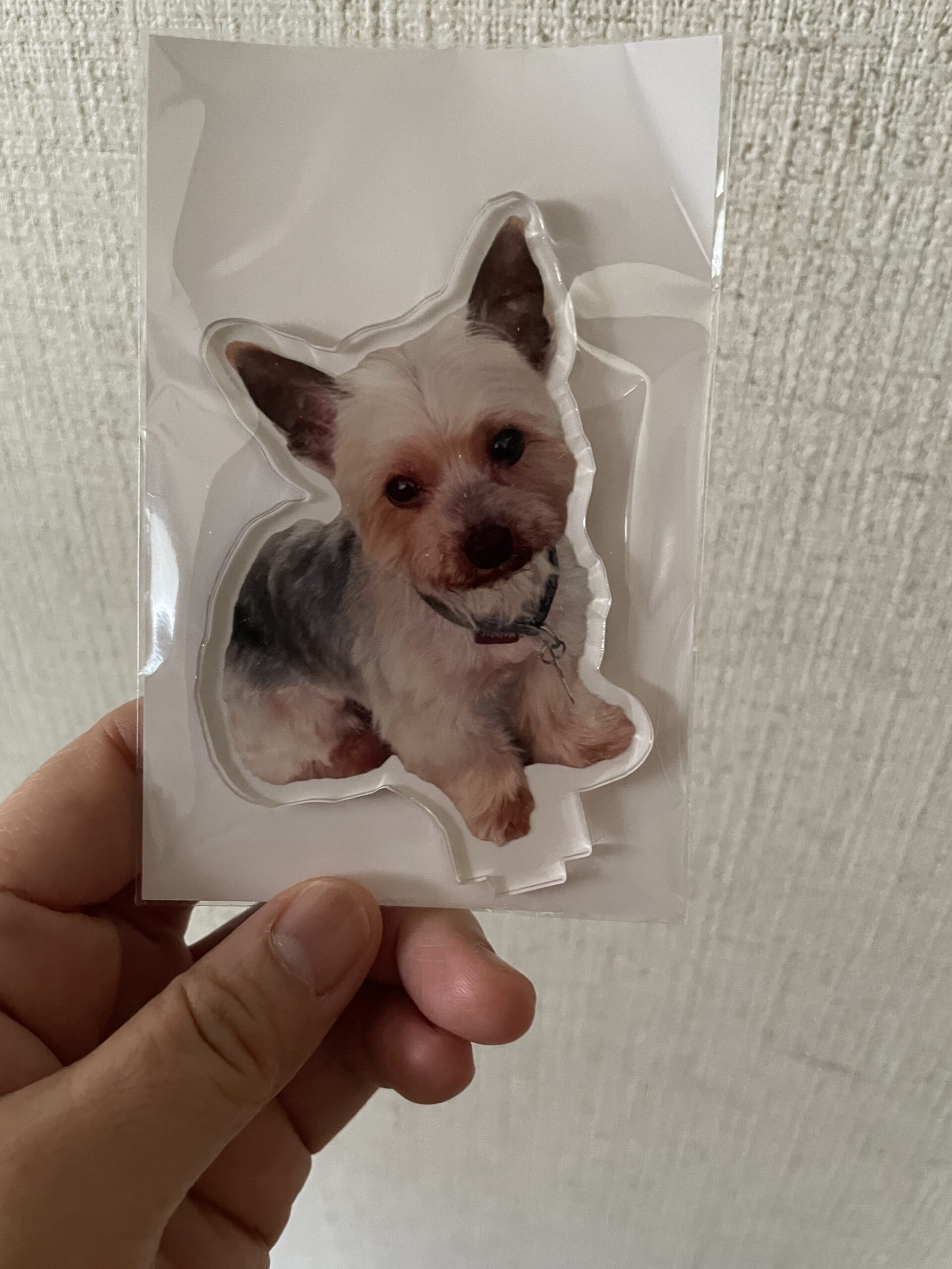 これはアクリルスタンド？