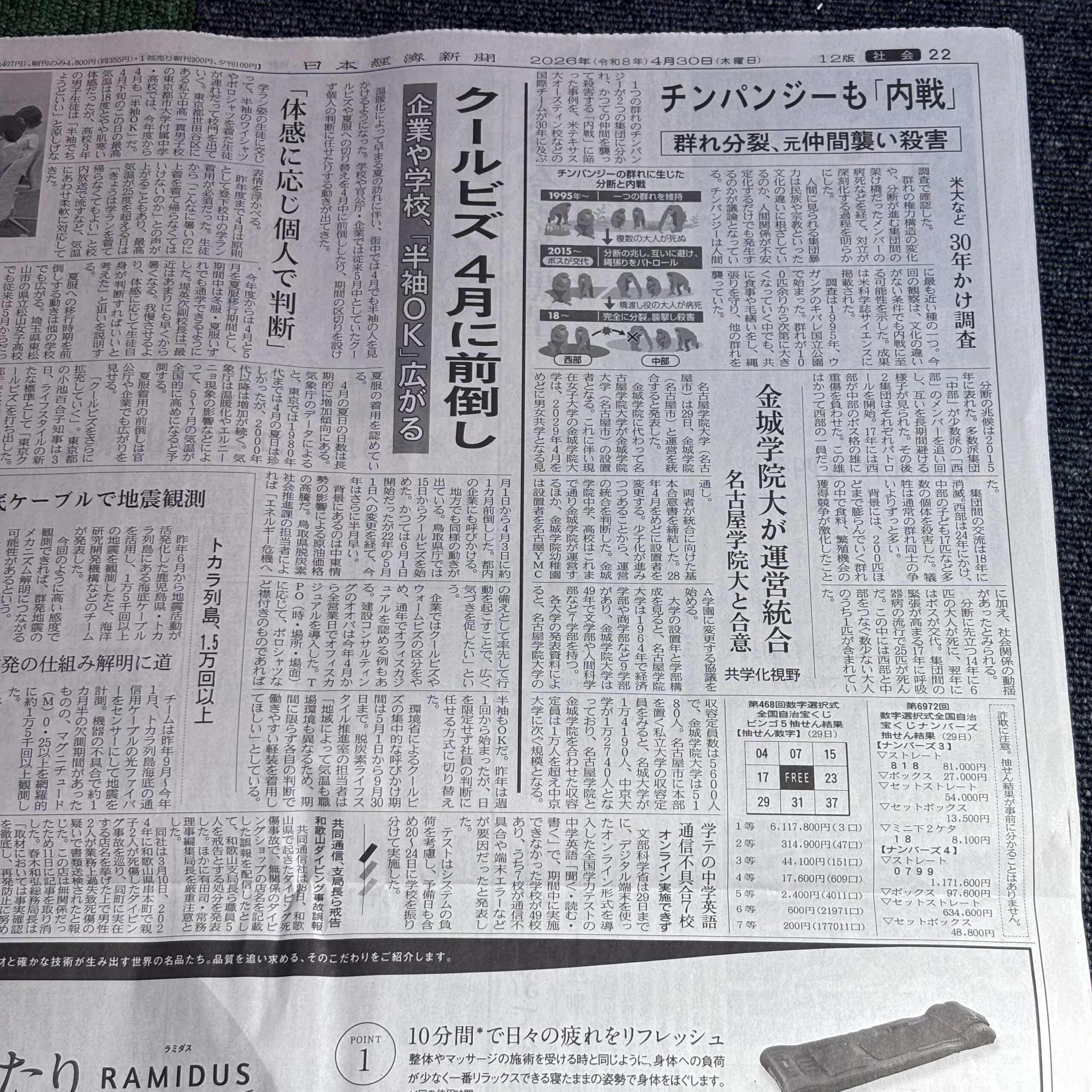 チンパンジーも内戦、元仲間襲うことも【埼玉ボイトレならナユタス川口校】