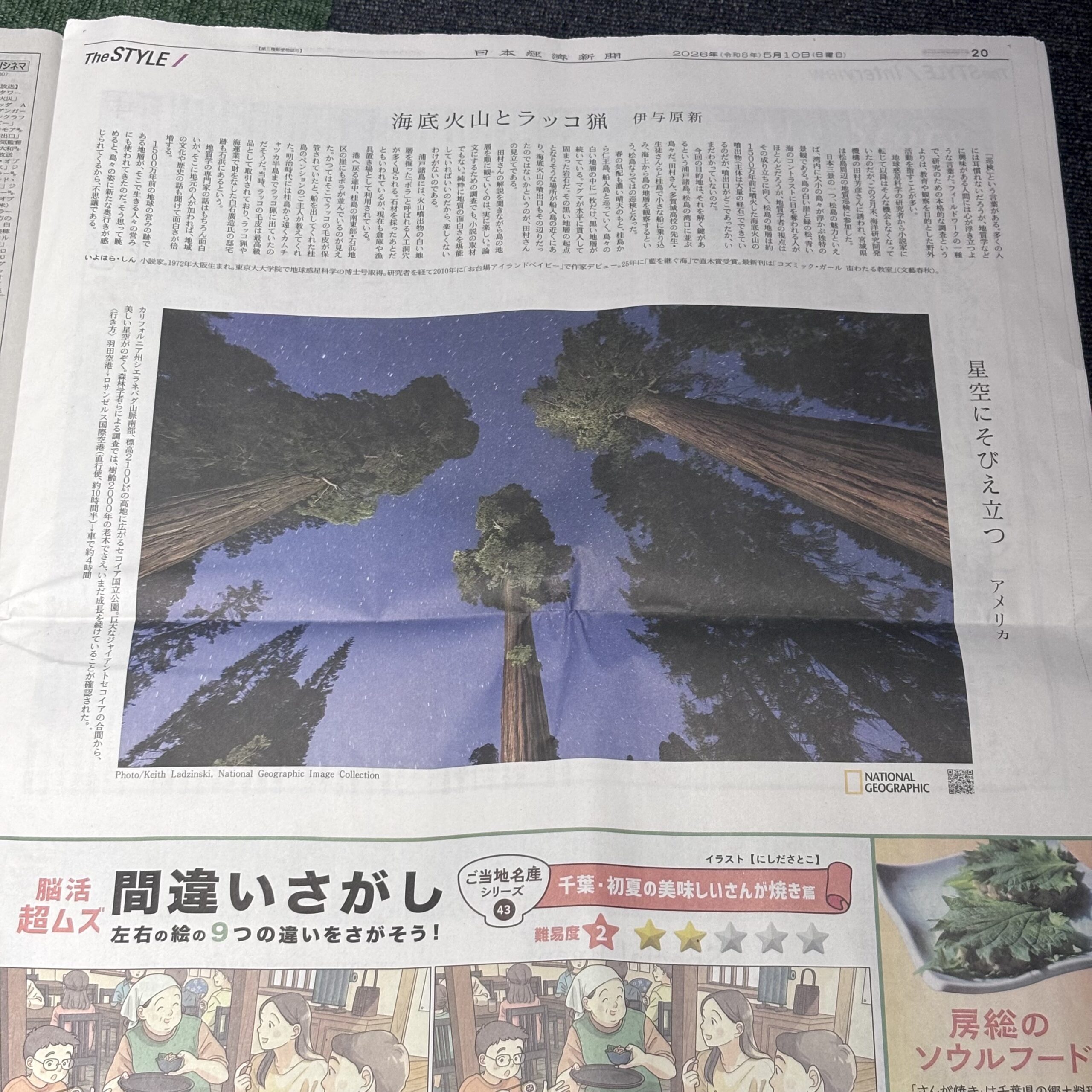星空にそびえ立つジャイアントエコイア（埼玉ボイトレならナユタス川口校）