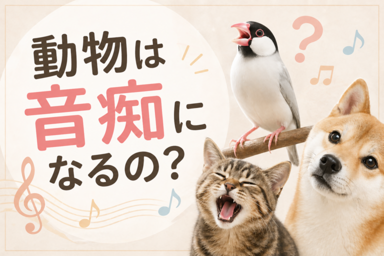 動物は音痴になるの？🤔