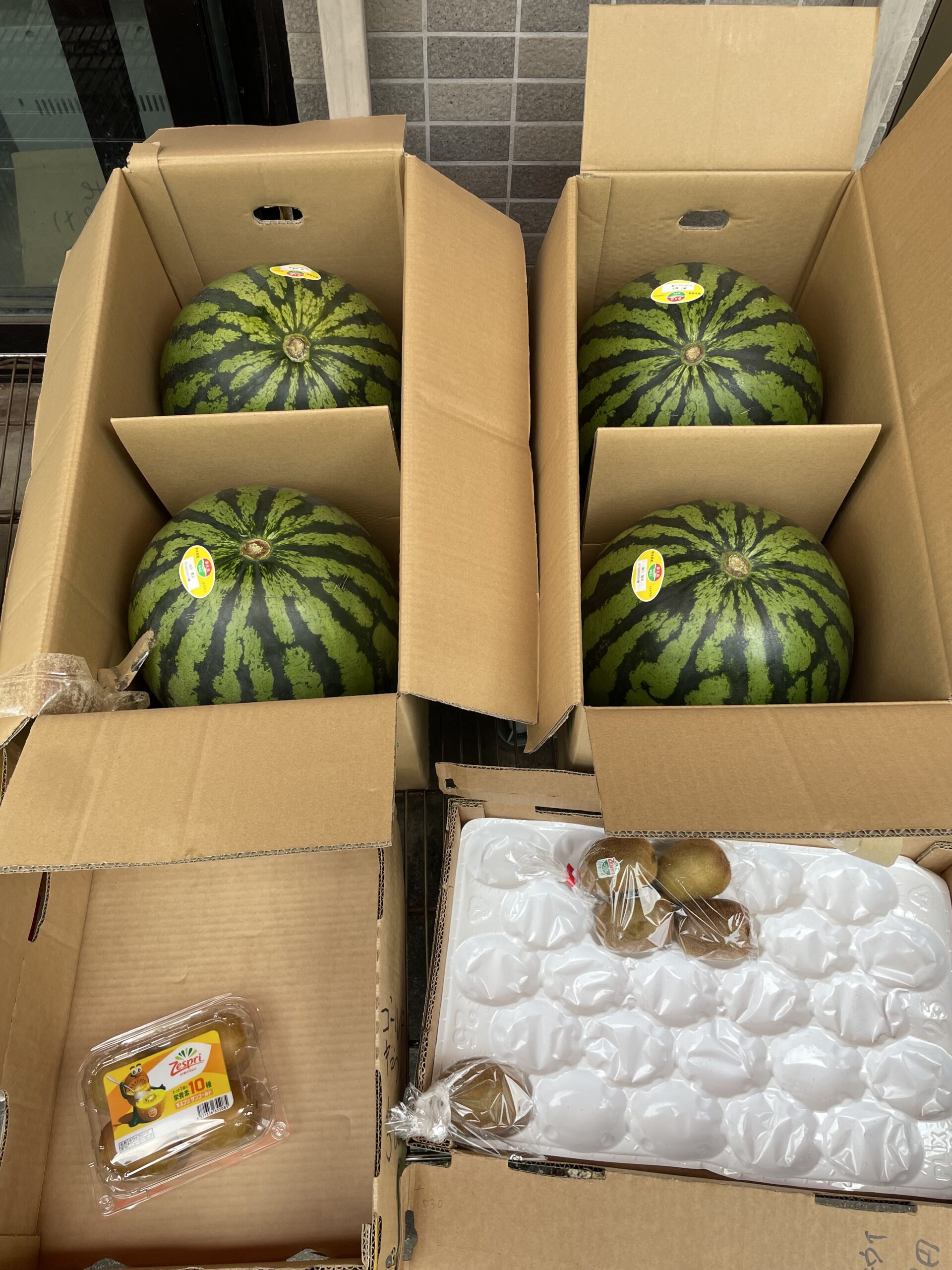 西瓜🍉Suicaスイカ