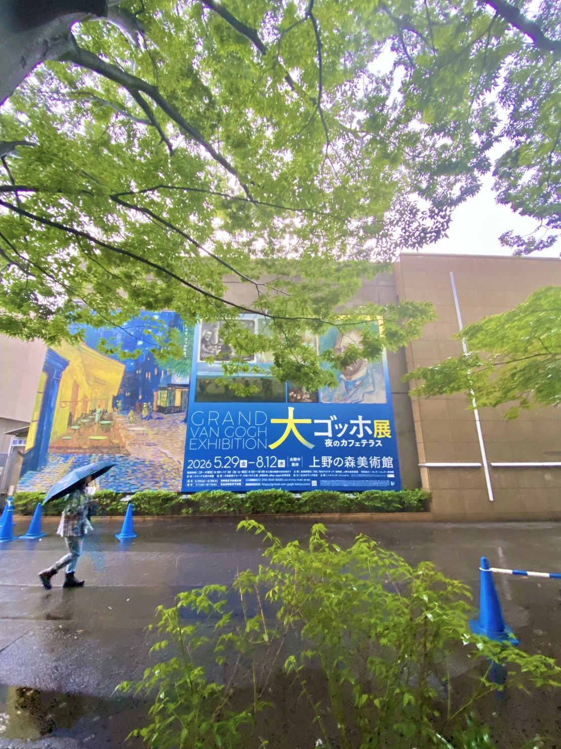 大ゴッホ展
