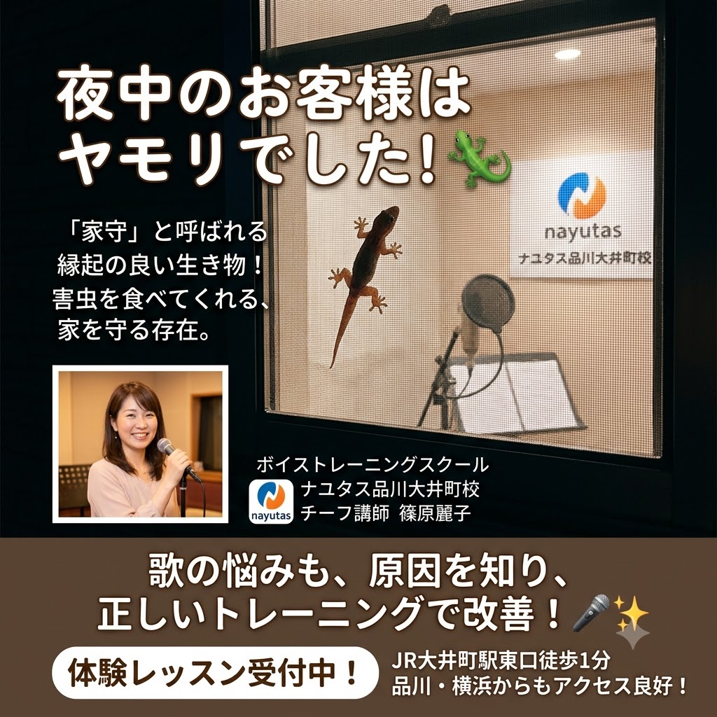 ヤモリ🦎