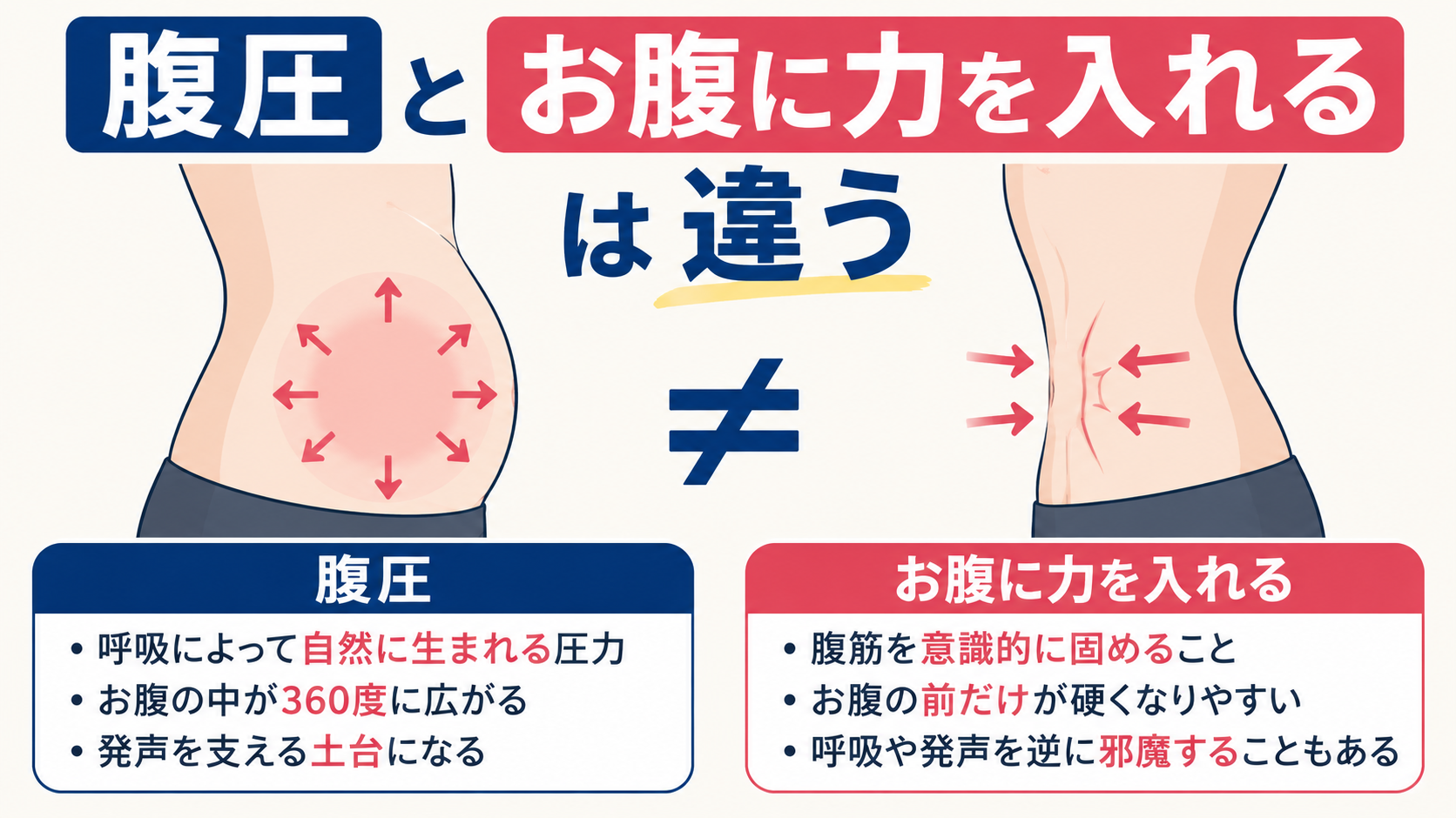 「腹圧」と「お腹に力を入れる」は違う - NAYUTAS水戸校(助川)