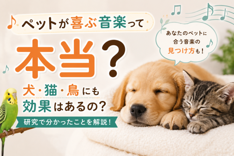ペットが喜ぶ音楽って本当？犬や猫が心地よく感じる音楽はあるの？