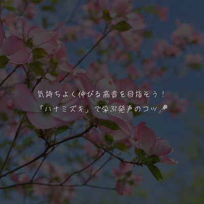 気持ちよく伸びる高音を目指そう！「ハナミズキ」で学ぶ発声のコツ🎤
