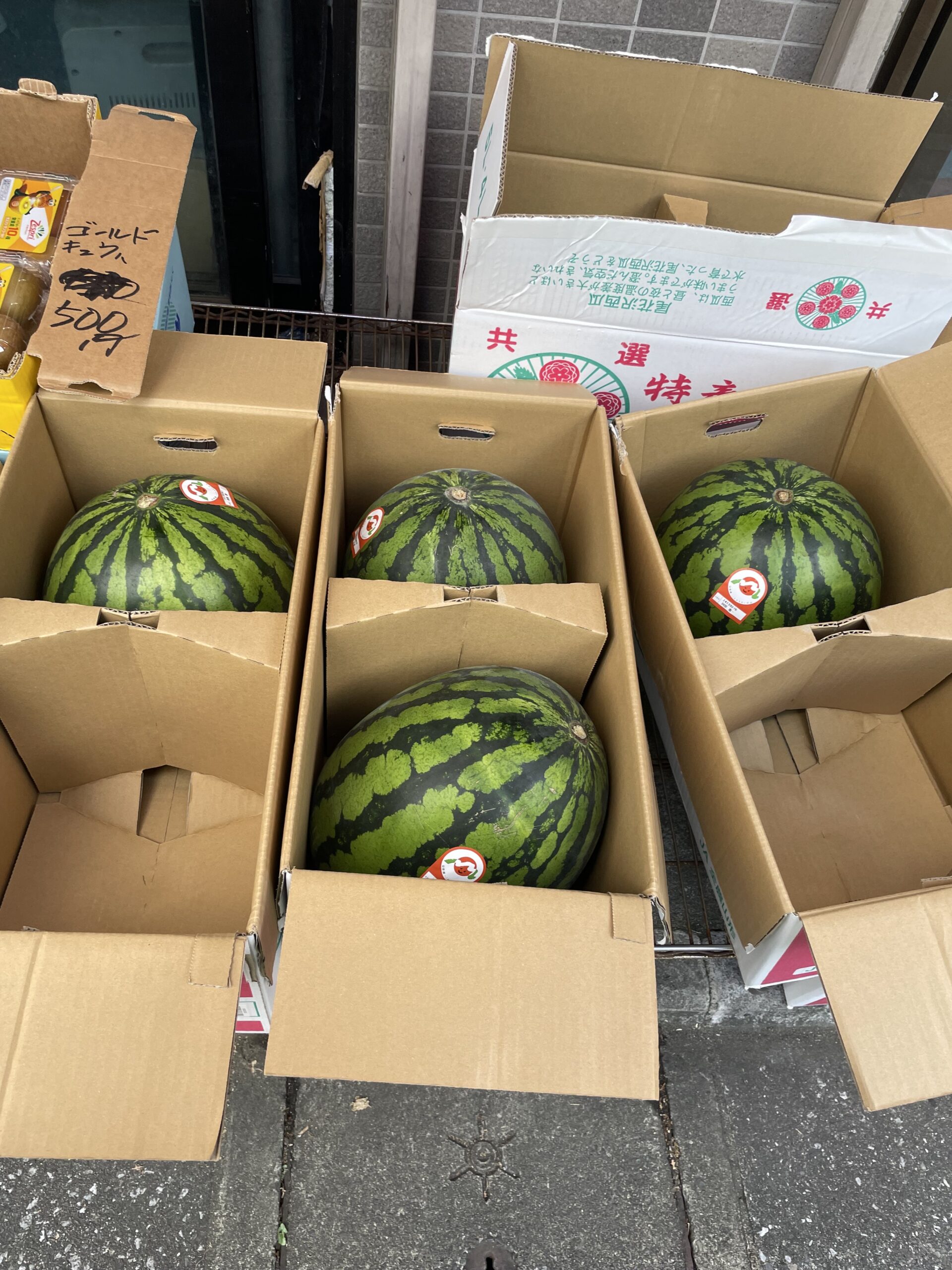 スイカ🍉