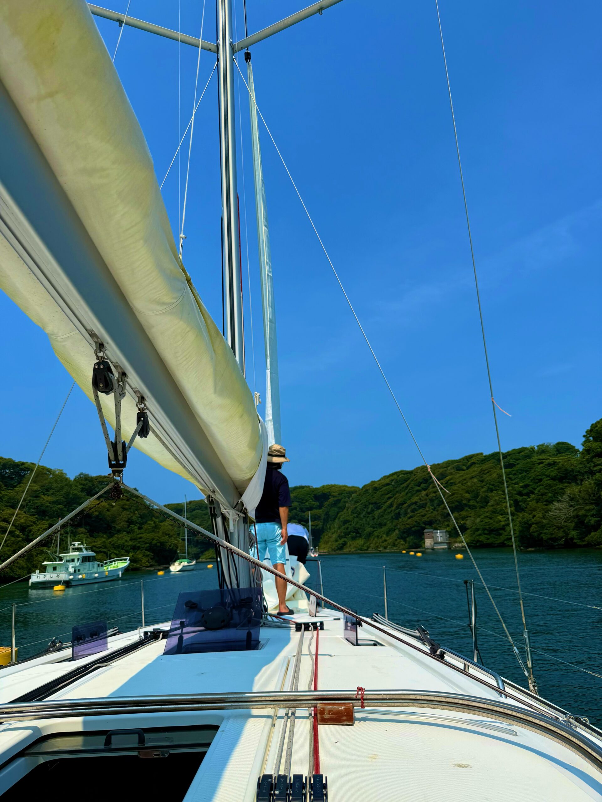 夏休み🌻⛵️