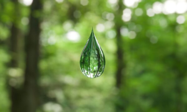 なぜ加湿が喉に効くのか？-ナユタス要町校-